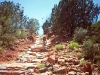 Cathedral Rock, Sedona, AZ