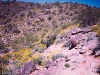Corona Loma Trail, South Mountain