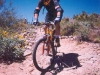 Corona Loma Trail, South Mountain