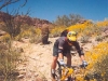 Corona Loma Trail, South Mountain