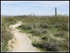 Desert Classic, South Mountain
