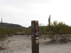 Desert Classic, South Mountain