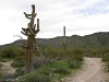 Desert Classic, South Mountain