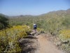 Hawes Trail Network