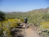 Hawes Trail Network