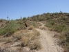 Hawes Trail Network