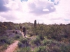Hawes Trail Network