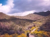 Hawes Trail Network