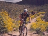 Hawes Trail Network