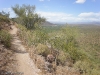 Hawes Trail Network