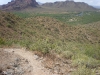 Hawes Trail Network