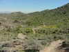 Javelina Trail - South Mountain