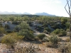 McDowell Competitive Track