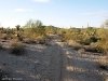 McDowell Competitive Track