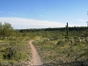 McDowell Competitive Track