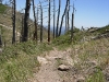 070609-mtb-16