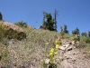 070609-mtb-19