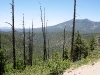 070609-mtb-2