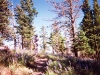 jhflagstaff3