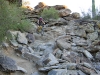 dscn0717