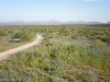 Pemberton Trail, McDowell Mountain Regional Park