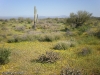 Pemberton Trail, McDowell Mountain Regional Park