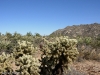 dscn0495