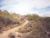 pima4