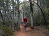 Soldier Pass Secret Trails, Sedona, AZ