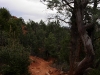 Soldier Pass Secret Trails, Sedona, AZ