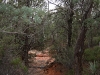 Soldier Pass Secret Trails, Sedona, AZ