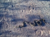 Trail 100, Phoenix Mountain Preserve