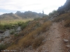 Trail 100, Phoenix Mountain Preserve