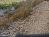Trail 100, Phoenix Mountain Preserve