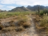 Trail 100, Phoenix Mountain Preserve
