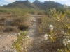 Trail 100 - Phoenix Mountain Preserve