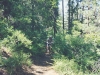 Trail 307, Prescott, AZ