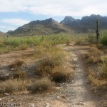 trail100-080601880