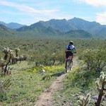 Estrella Mountain Regional Park