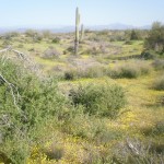 mtb-070101-8 mtb-070101-8