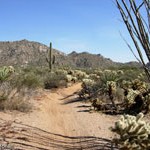 Pima and Dynamite Trail