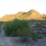 Trail 100