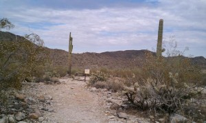 Desert Classic Trail at South Mountain